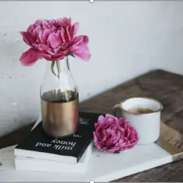 Transformerende coach vragen: de Kunst van het Vragen Stellen